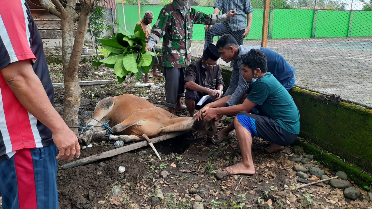 idul adha berita 4