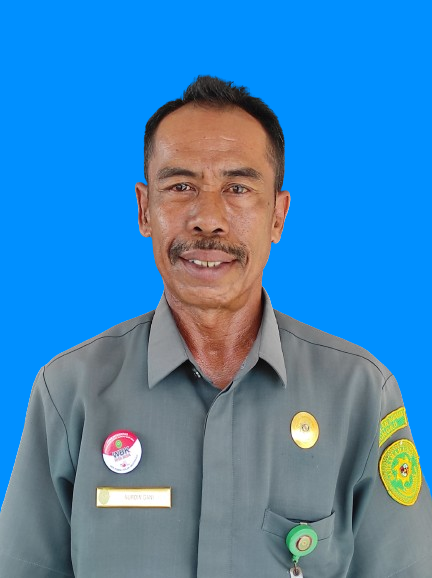Biru Nurdin
